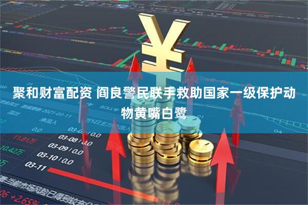 聚和财富配资 阎良警民联手救助国家一级保护动物黄嘴白鹭