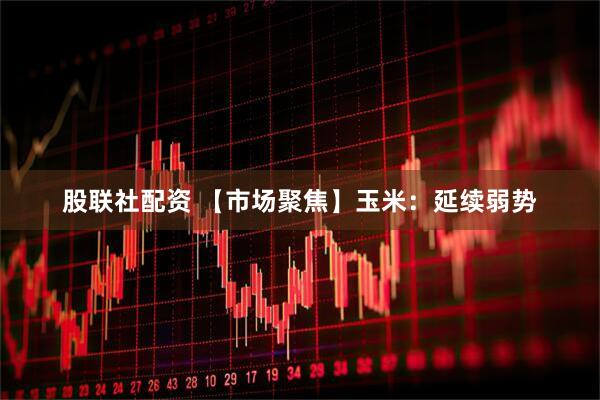 股联社配资 【市场聚焦】玉米：延续弱势