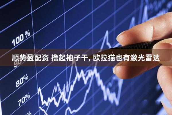 顺势盈配资 撸起袖子干, 欧拉猫也有激光雷达